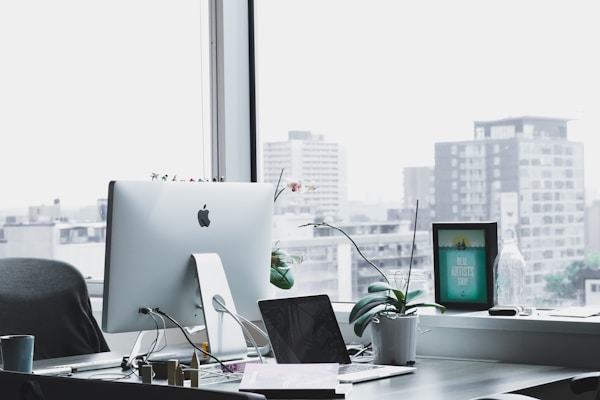 WordPress ou Site Sob Medida